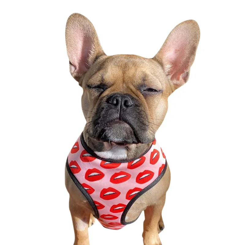 

Hot Selling Luxury Red Lip Printed Pet Ventilation Mesh Out Chest Back Traction Kit Funny Fashion Practical strap drawstring
