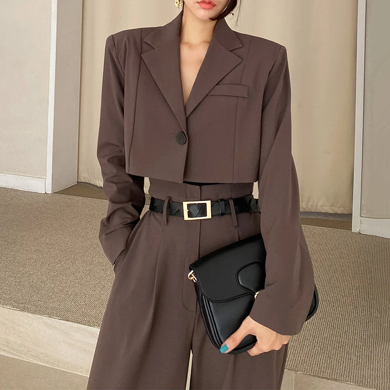

Office Lady Blazer Suits Vintage Two Piece Set Women Long Sleeve Short Blazer + High Waist Wide Leg Long Pants 2 Piece Outfits