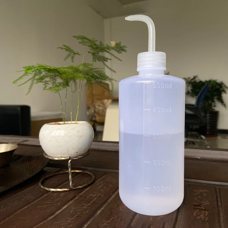 500 мл поливочная банка суккуленты птица для растений розлив цветов бутылка