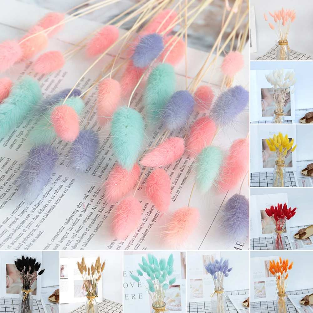

30Pcs Rabbit Tail Grass Natural Dried Flowers For Home Decoration Flower Arrangement Wedding decoration Real Flower Grass Props