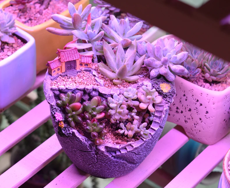 

Minimalist Kids Toothbrush Holder Case Cup Set Electric Toothbrush Toothpaste Dispenser Tandenborstelhouder Brush Holder EA6YGJ