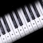 Клавиатура для пианино, наклейка из ПВХ, стикер для Stave Note Biginners 54 61 88 клавиш, стикер для электронных ключей