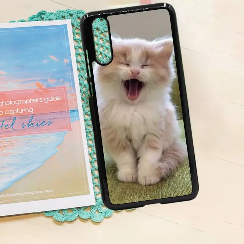 

Lovely animal cat Phone Case PC for iPhone 11 12 pro XS MAX 8 7 6 6S Plus X 5S SE 2020 XR