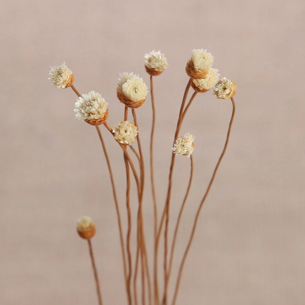 5pcs Daisy Flower Rattan Reeds Fragrance Diffuser Non-fire Replacement Refill Sticks Home Living Room Aromatic Incense