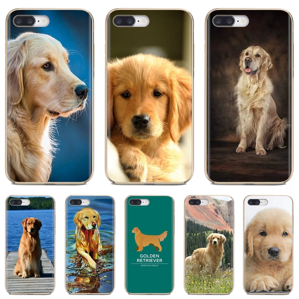 Мягкий чехол для iPhone 11 Pro 4 4S 5 5S SE 5C 6 6S 7 8X10 XR XS Plus Max iPod Touch Golden Retriever Dog|Бамперы| |