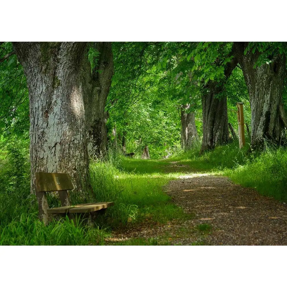 Весенний лес зеленый трава дорожка пейзаж портрет дети фотографии фоны для