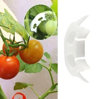 50pcslot tomato ccip fruit seedling reinforcement hook anti bending tie clip