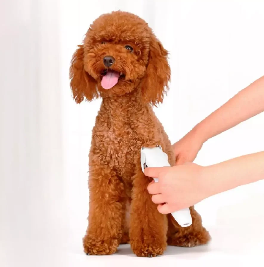 Original Xiaomi Youpin Pawbby Pets Trimmers Professional Dog/Cat Pet Grooming Electrical Hair Clippers Shaver | Электроника