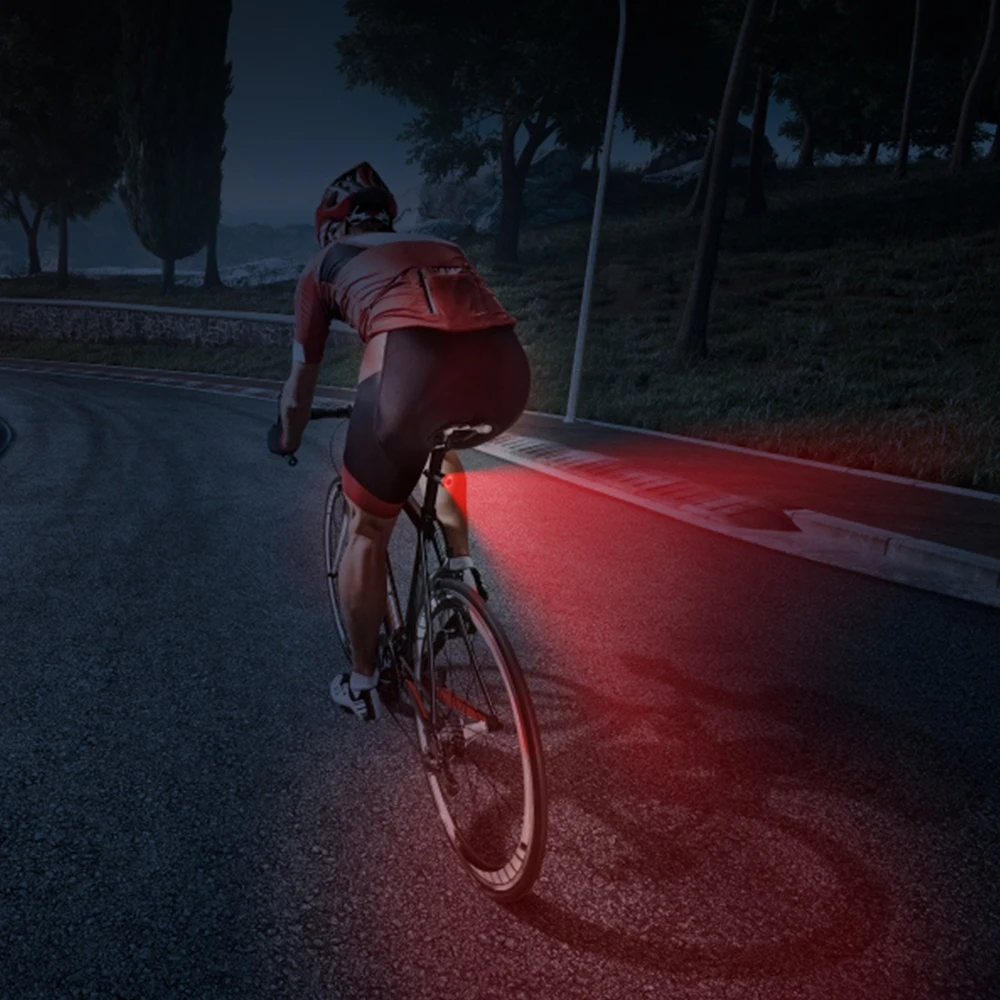 

YSANAM Smart Bicycle Rear Light Set Auto Start/Stop Brake Sensing IP65 Waterproof USB Charge Cycling Taillight Bike LED Light