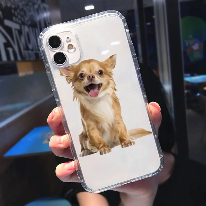 

Cute animal Chihuahua Dog Phone Cases Transparent soft For iphone 5 5s 5c se 6 6s 7 8 11 12 plus mini x xs xr pro max