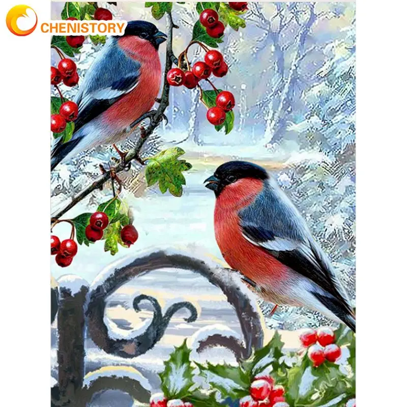 

CHENISTORY Frame Picture Diy Painting By Numbers Kits Acrylic Wall Art Picture Birds Snow Handpainted Coloring By Numbers Diy