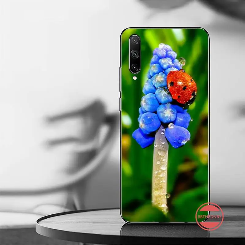 Чехол для телефона Huawei Honor view 7a5.45-дюймовый экран 7c5.7inch 8x 8a 8c 9 9x10 20 10i 20i lite pro |
