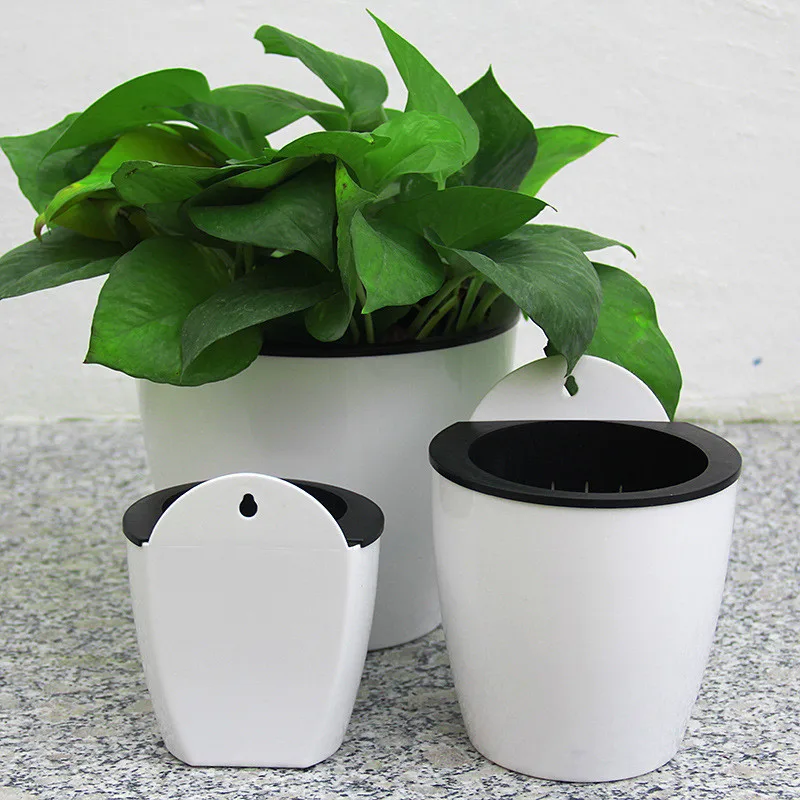 

Automatic Water Absorption Lazy Flower Pot Water Culture Wall Hanging Basin Flower Pot Wall Hang Flower Pot Macetas Decorativas