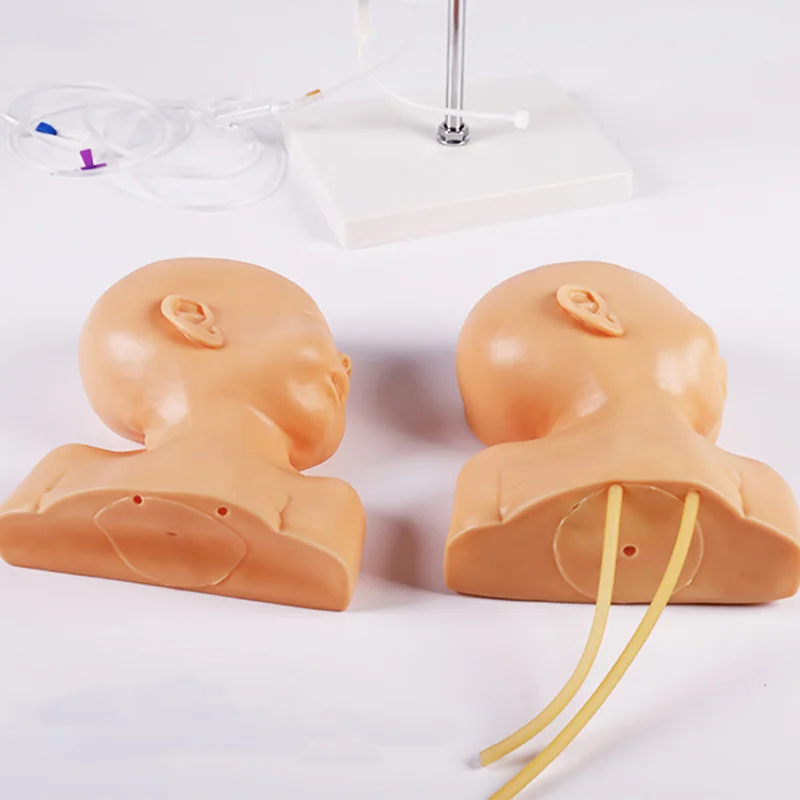 Шиньон для кожи головы младенцев Venipuncture модель новорожденных головной