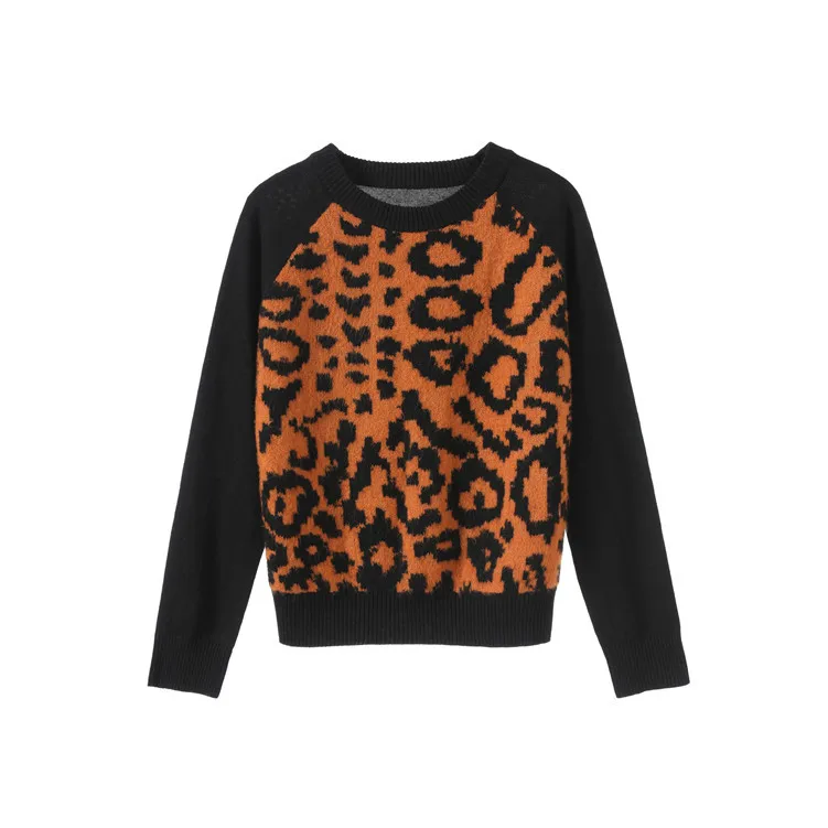 Streetwear Leopard Print Sweater Women 2019 Autumn Winter Fashion Long Sleeve Befree Knitted Sweaters and Pullovers For Ladies | Женская