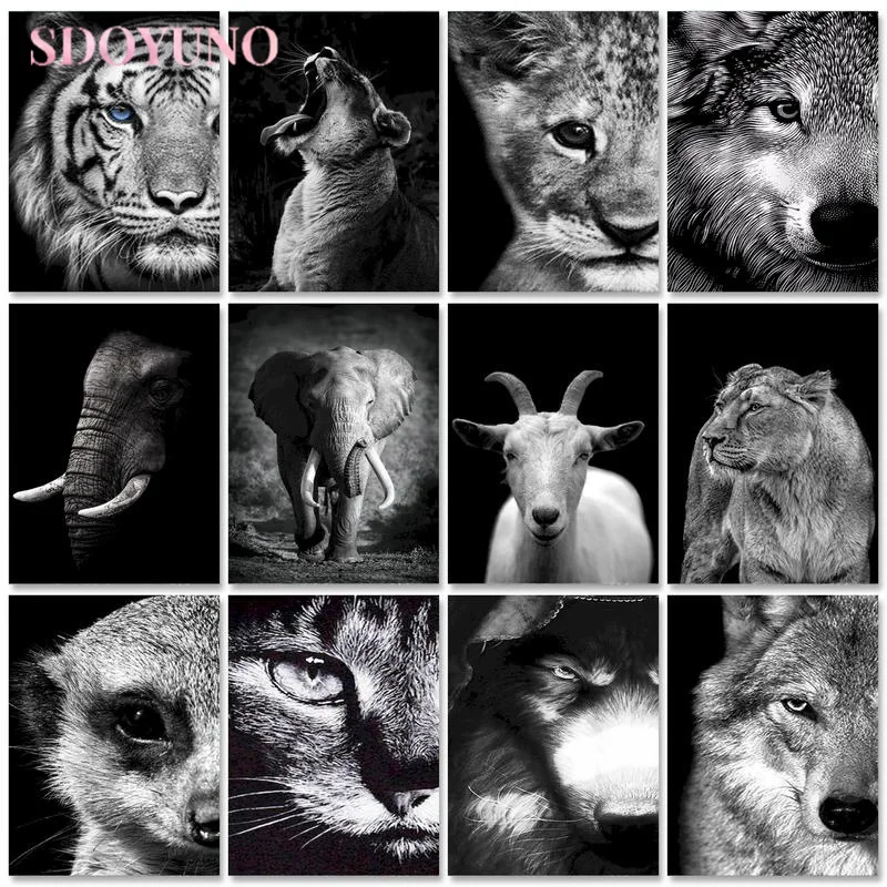 

SDOYUNO Frame Painting By Numbers For Adults Black Animals Lion Diy Picture By Numbers Handpainted Coloring Wall Home Decor