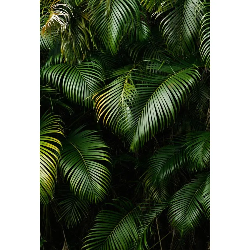 

5x7ft Seamless Pattern From Tropical Leaves Custom Photo Studio Background Backdrop Vinyl 220cm x 150cm