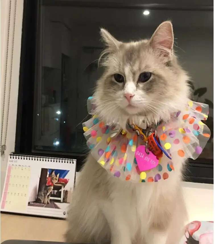 1 ярд/партия ширина 7 5 см вышивка 2 слоя африканская кружевная отделка ручная