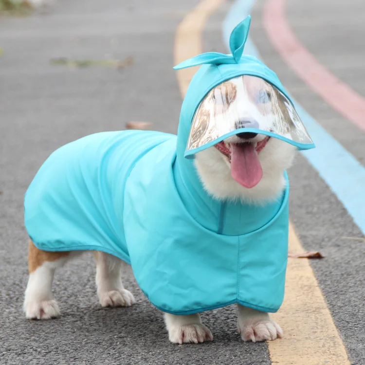 

New waterproof Pu dog raincoat transparent hat brim dog walking clothes in rainy days lucky grass cute kerky clothes