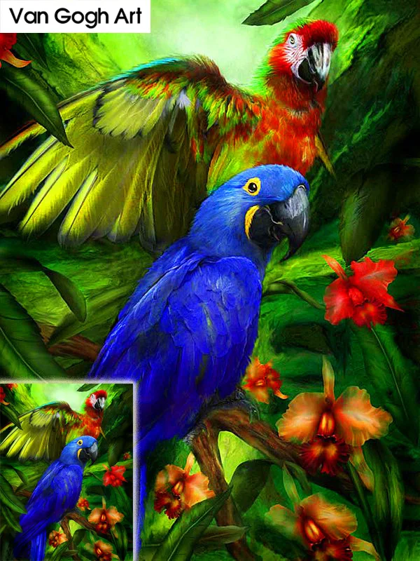 DIY 5D алмазная картина животные попугаи Смола круговая дрель вышивка крестиком