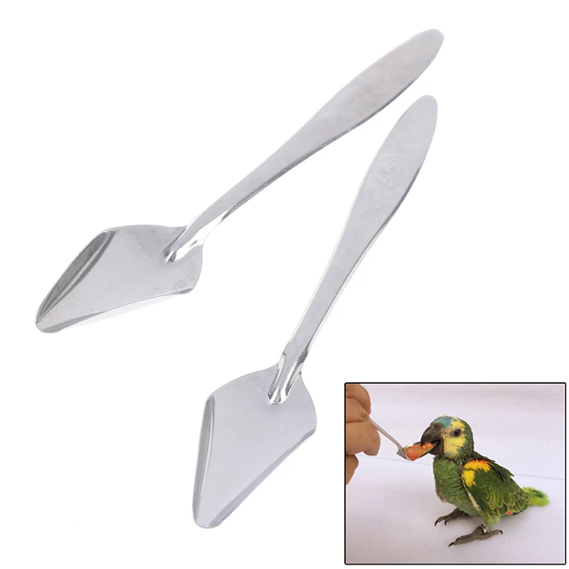 

Parrot Feeding Spoon 2/5PCS Stainless Steel Pointed Hand Feeding Spoons Water Milk Powder Bird Feeder For Pet Peony Cockatiel