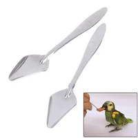 parrot feeding spoon 25pcs stainless steel pointed hand feeding spoons water milk powder bird feeder for pet peony cockatiel