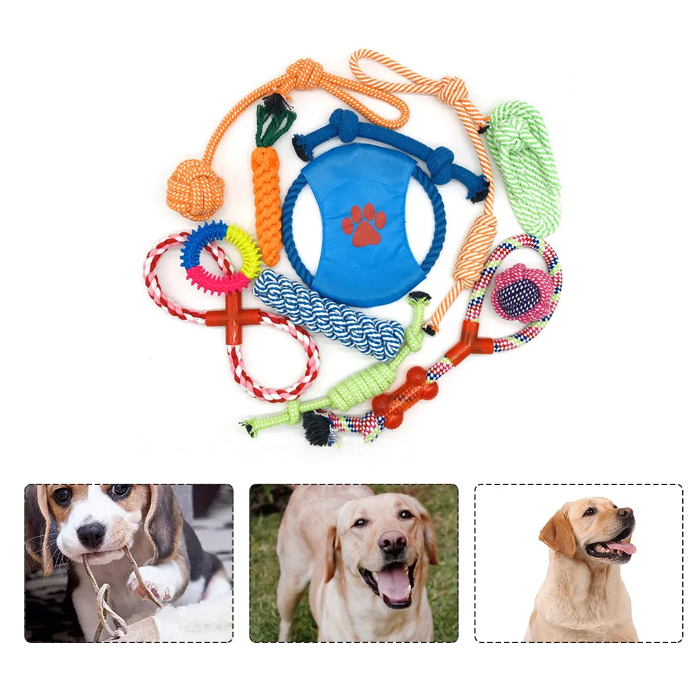 

12PCS Pets Dogs Pet Supplies Pet Dog Puppy Cotton Chew Knot Toy Durable Braided Bone Rope Dogs Tooth Cleaning Toys Pet Dog Toys