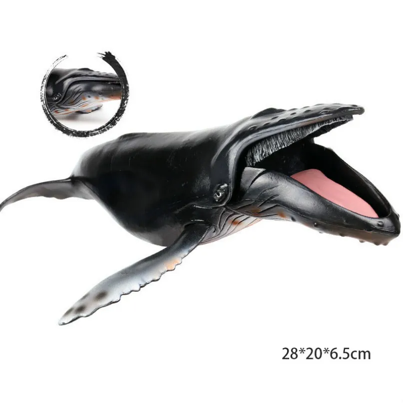 humpback whale Морская модель животного; изображение морской жизни, фигурка акулы, развивающие животные океана, игрушка для детей, Декор, подарок - Цвет: humpback whale