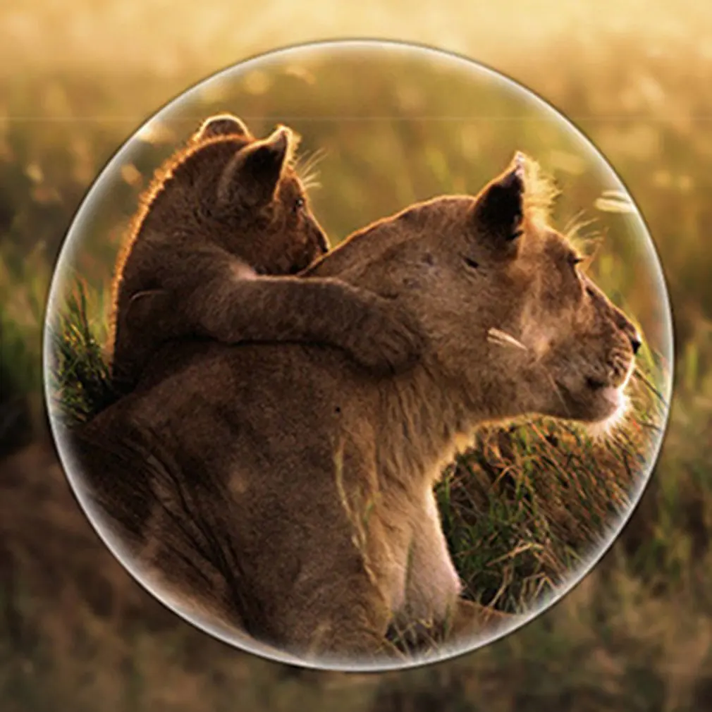 

5X40 Digital Infrared Night-Vision Goggle Scope For Hunting Telescope Long Range With Camera Photo Recording Video