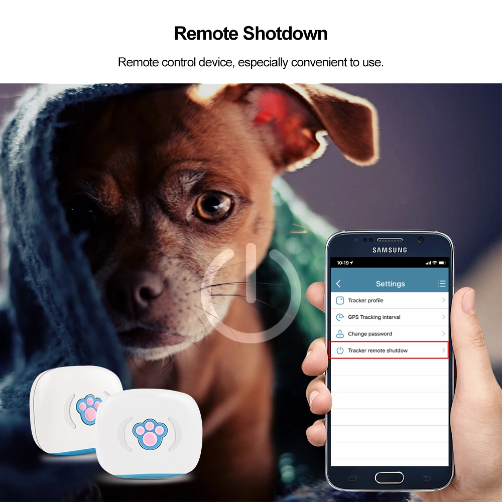 Ошейник для кошек Мини gps водонепроницаемый IP67 gps Perro A gps позиционирование гео-забор Дистанционно управляемый длительное время ожидания Pet трекер gps трекер для собак
