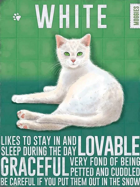 

White Moggies Cat Breed Vintage Metal Sign Plaque Pet Home Kitchen Garden Decor