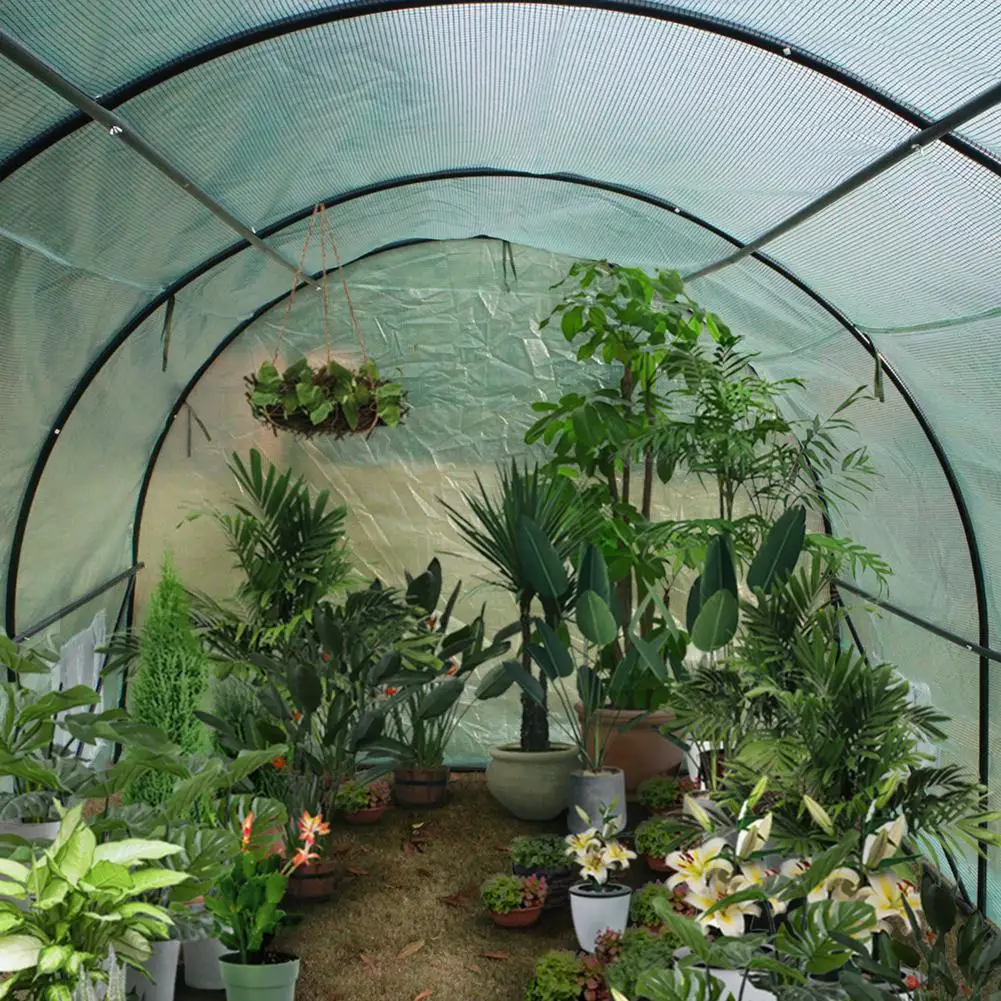 20x10x7 pulgadas de un deber de pesado de efecto invernadero jardiner&iacute;a de plantas c&uacute;pula invernadero carpa-1