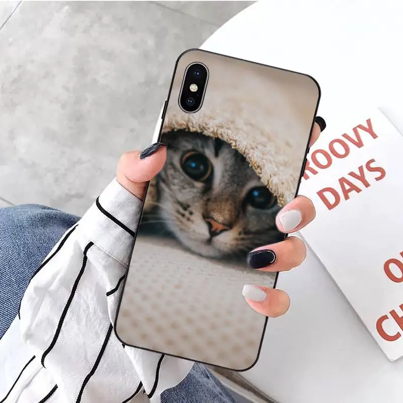 

Lovely animal cat kitten Phone Case For iphone 5 5s 5c se 6 6s 7 8 plus x xs xr 11 pro max