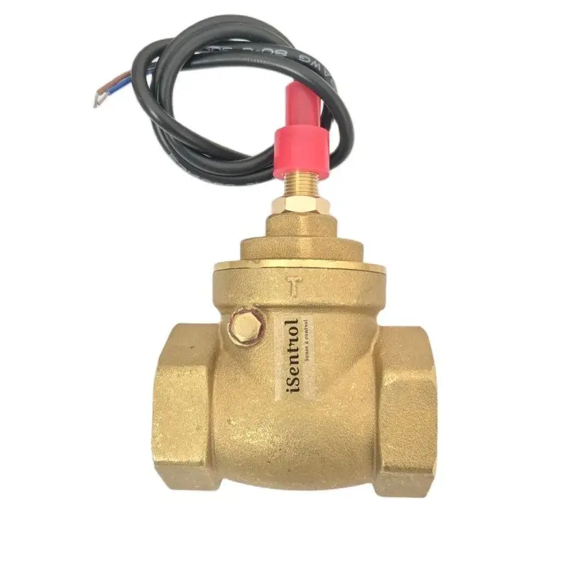 Interruptor Sensor de Fluxo Gêmeo Interruptor Sensor de Latão 850l Min 250v dc 70w Fios Interruptor Saier Sensores de fluxo