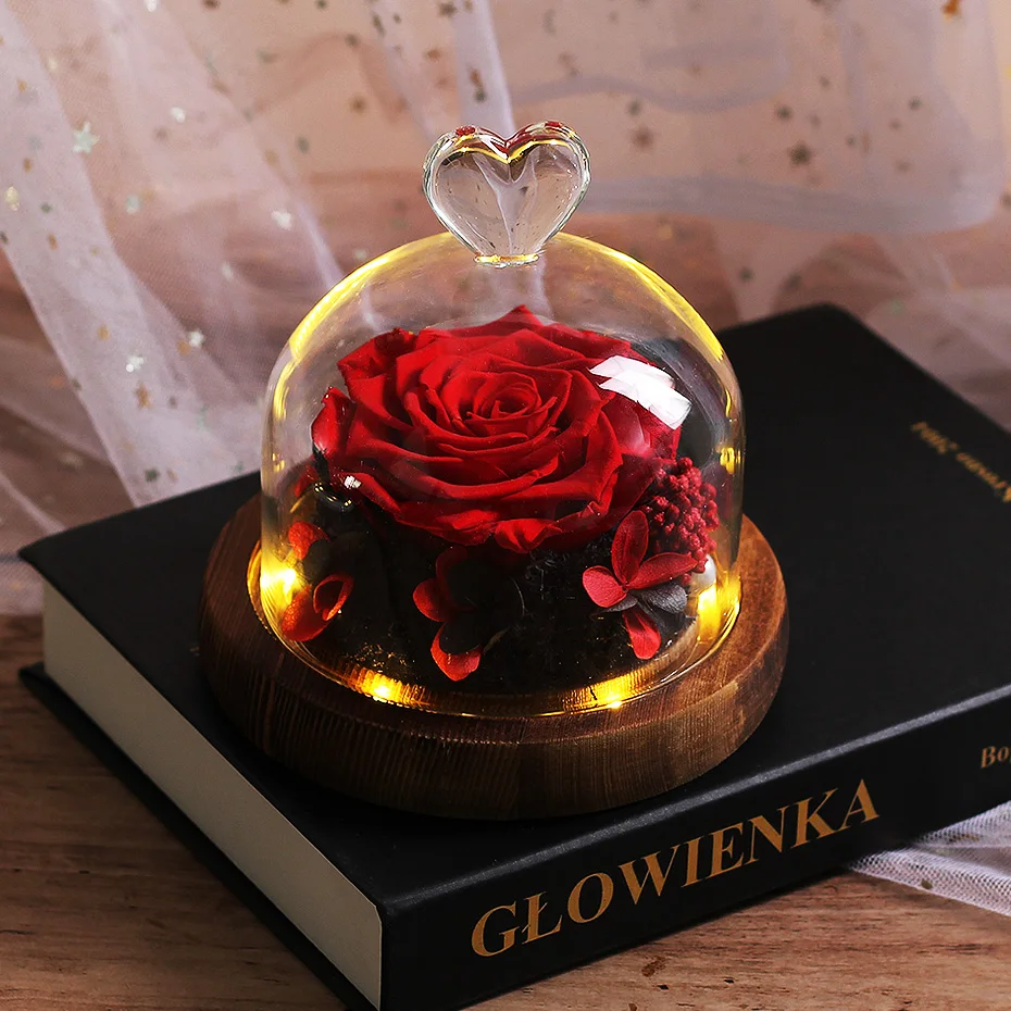 Домашний декор Красавица и Чудовище настоящая Роза в стеклянном куполе