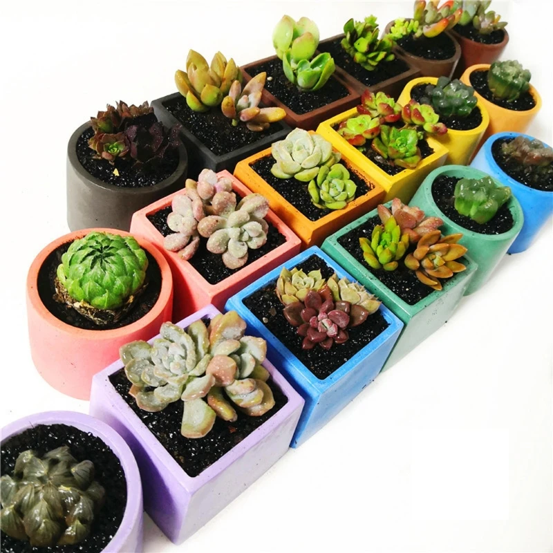 

Concrete Flowerpot Mold Sqaure Round Resin Succulent Plants Pot Silicones Molds X7YA