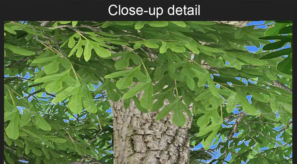 Настенные 3D обои на заказ для спальни фоновая фотография настенные Стикеры