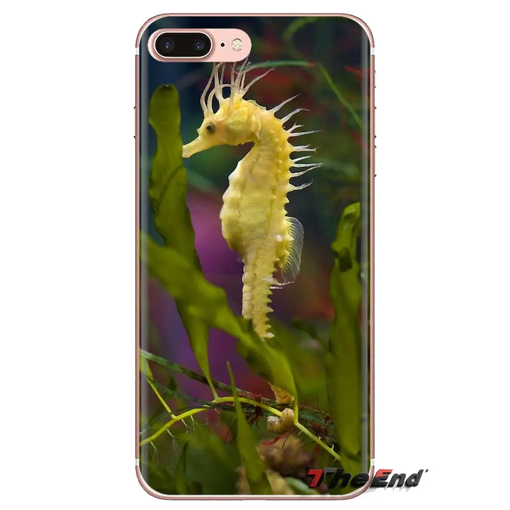 Для Samsung Galaxy A3 A5 A7 A9 A8 звезда A6 плюс 2018 2015 2016 2017 в виде морского конька радужной