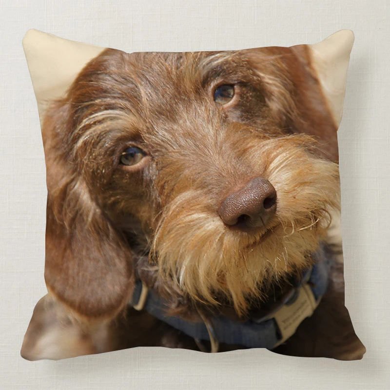 1 шт. 45*45 см милая собака подушка чехол Wirehaired подушки с таксой диван кровать автомобиль подушка чехол Спальня украшение в виде таксы Подушка бухта