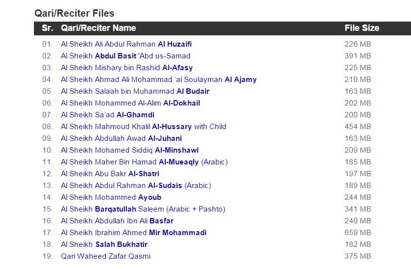 Лидер продаж 2021 сертифицированный цифровой Коран ручка для чтения Корана прямая