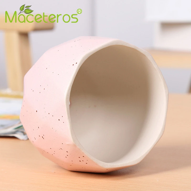 Modern Creative Matte Ceramic Fleshy Flower Pots Indoor Green Dill Living Room Home Gardening Decoration Supplies | Дом и сад