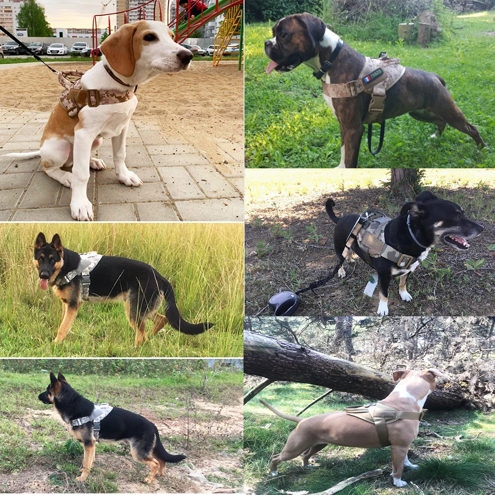 

Dog Harness Walking Adjustable Nylon Pet Dog Collar Vest Bungee Dog Leash Harness For Small Larges Dogs German Shepherd