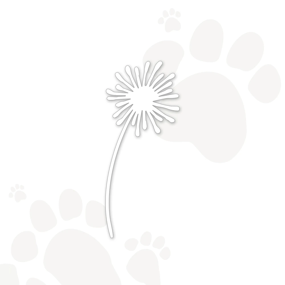 

Dandelion Flower Metal Cutting Dies Leaf Vine Greeting Card Pattern Printing DIY Scrapbooking Craft Embossing Stencil 2021Newest