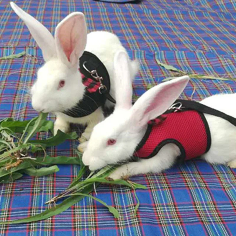

Pet Mesh Soft Harness With Leash Small Animal Vest for Hamster Rabbit Bunny J2Y