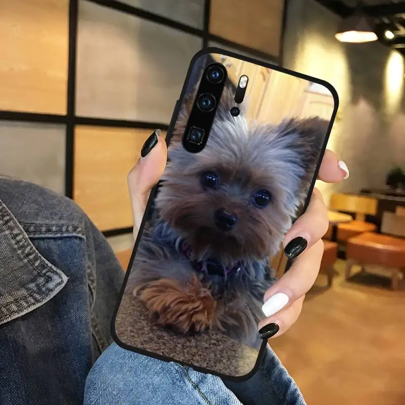 

Yorkshire Terrier dog Phone Case For Huawei P9 P10 P20 P30 Pro Lite smart Mate 10 Lite 20 Y5 Y6 Y7 2018 2019