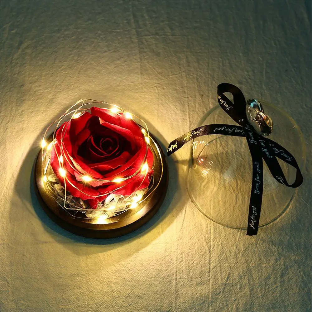 

LED Rose Light with Transparent Glass Cover Gold Foil Decorative Rose Night Lamp for Valentine's Day Home Decoration