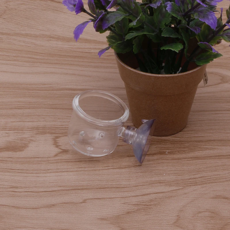 Пинхол Стекло горшок чашка для растений держатель креветки аквариума водных