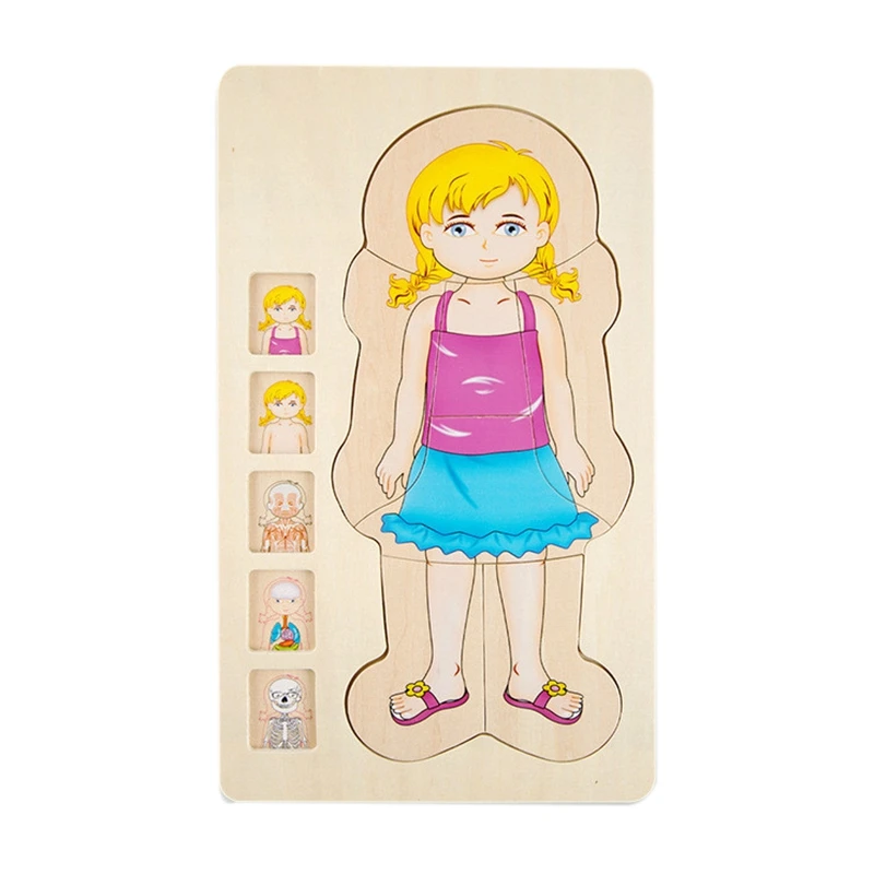 Multi-Layer Wooden Human Puzzles Body Structure Toys lectual Educational Children'S Early Education Educa | Игрушки и хобби