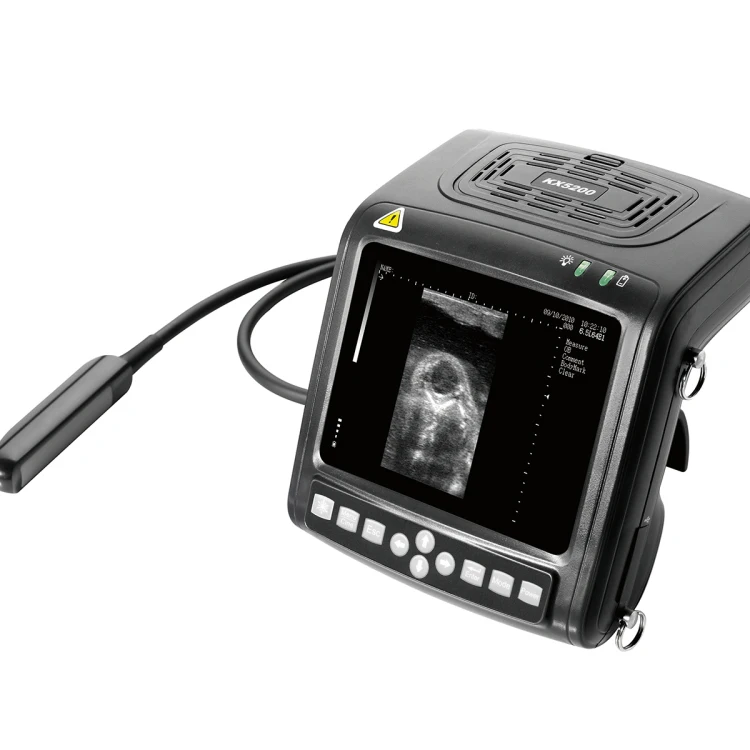 

Full-digital B mode Veterinary Ultrasound Scanner