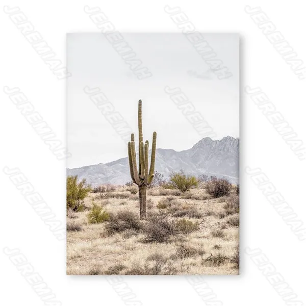 

African Cactus Landscape Poster Nordic Style Wall Canvas Canvas Print Painting Now Living Room Decoration